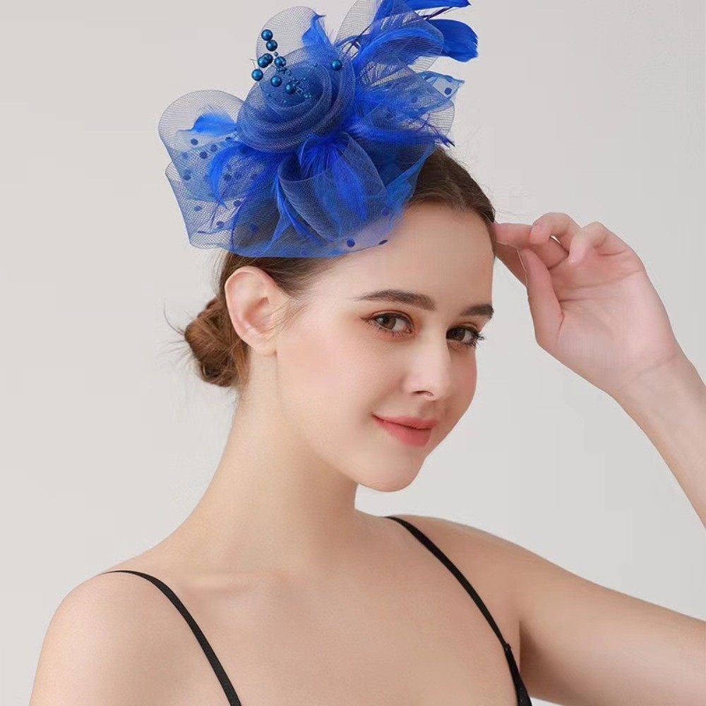 Bride Headdress Feathers Fasci - đánh giá và giá Hair Bundles